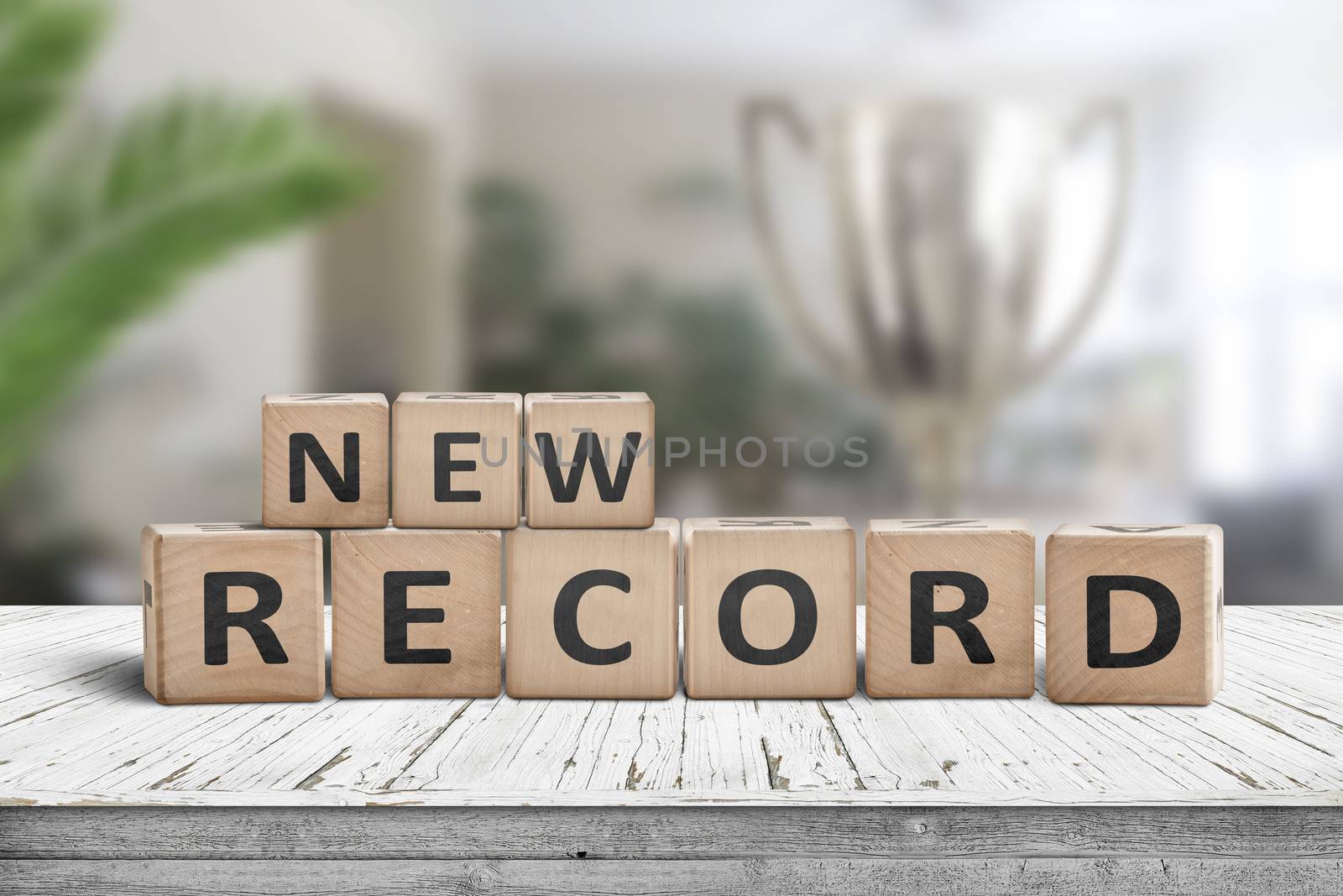 New record sign on a wooden table in a bright room with green plants and a trophy