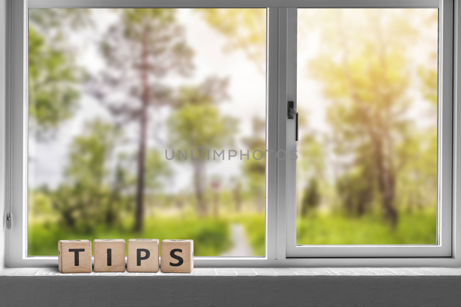 Tips sign in a window with a view to a green garden with tall trees in sunlight