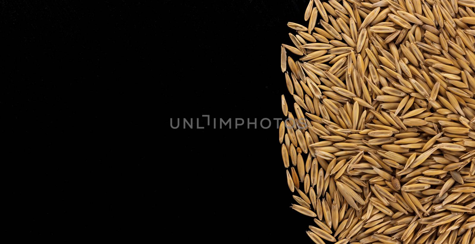 Pile of oat seeds on black background, copy space, top view by xamtiw