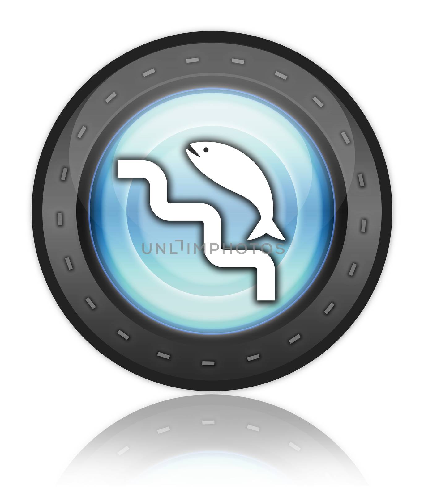 Icon, Button, Pictogram with Fish Ladder symbol