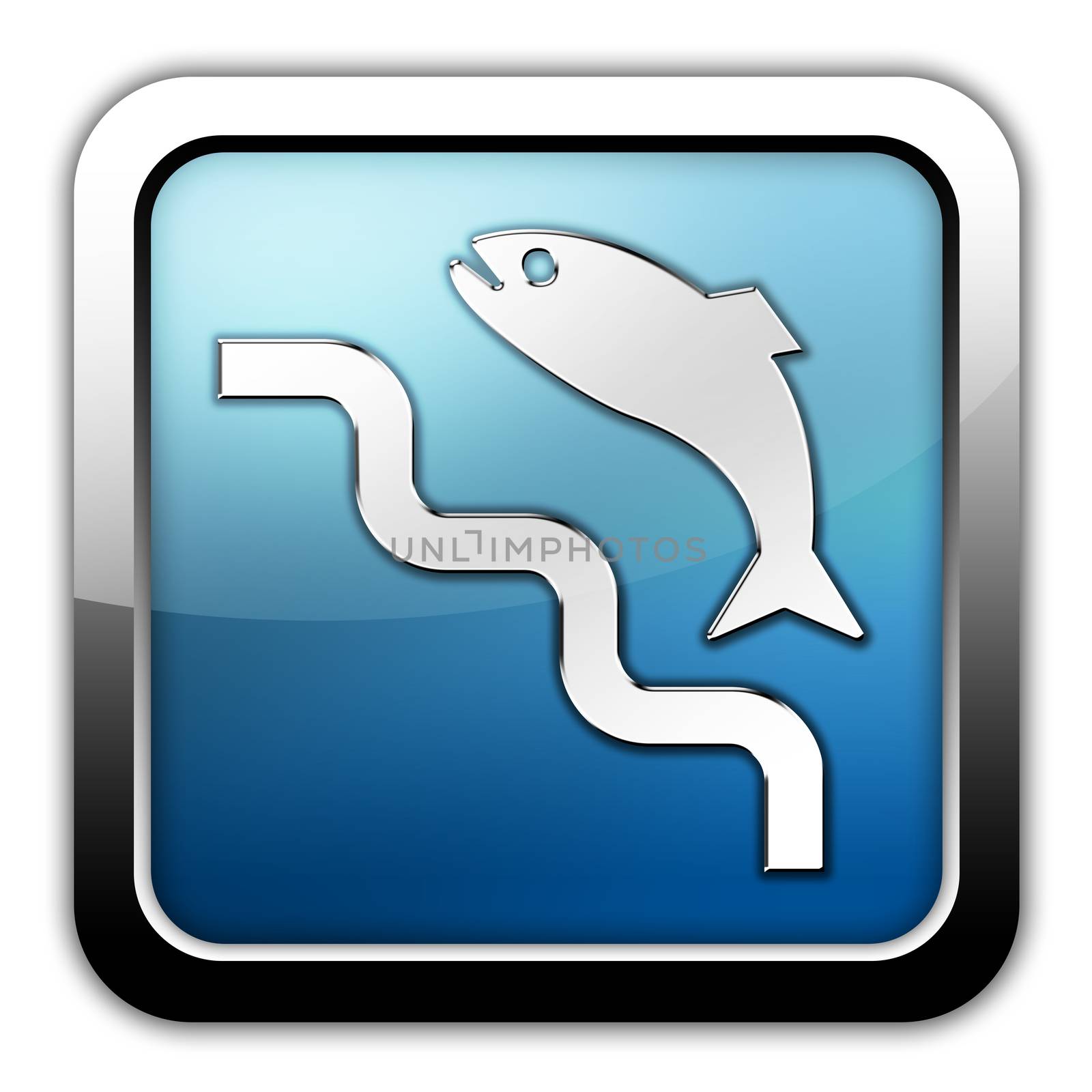 Icon, Button, Pictogram with Fish Ladder symbol