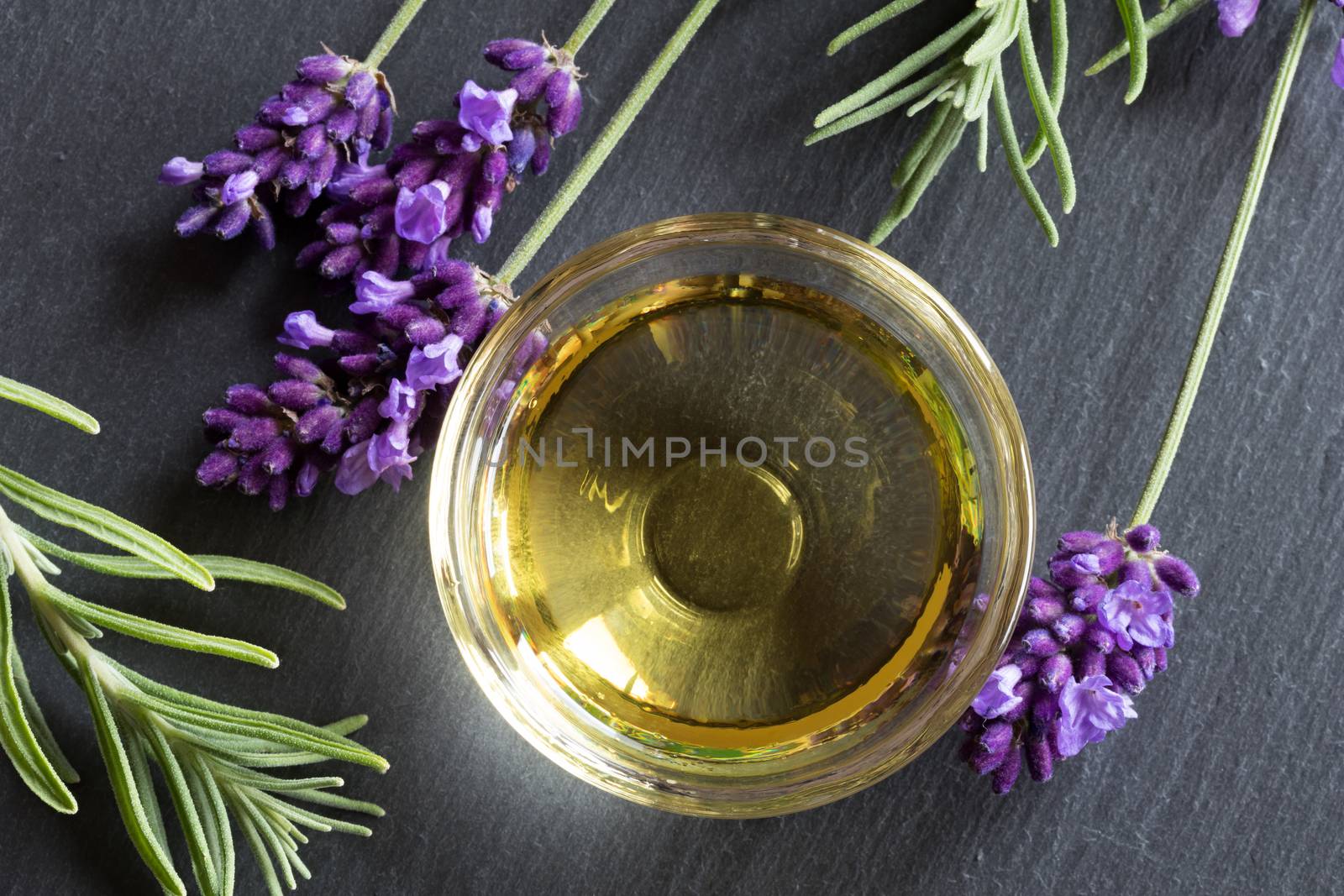 Lavender essential oil in a small glass bowl with fresh lavender twigs on a dark background