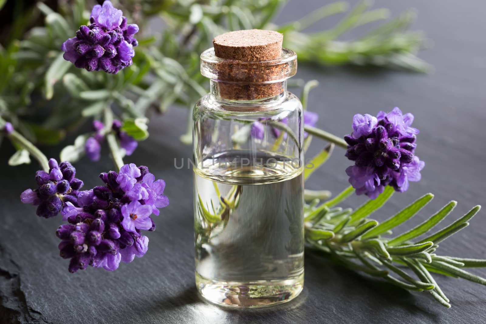 A bottle of lavender essential oil on dark stone, with fresh lavender twigs in the background