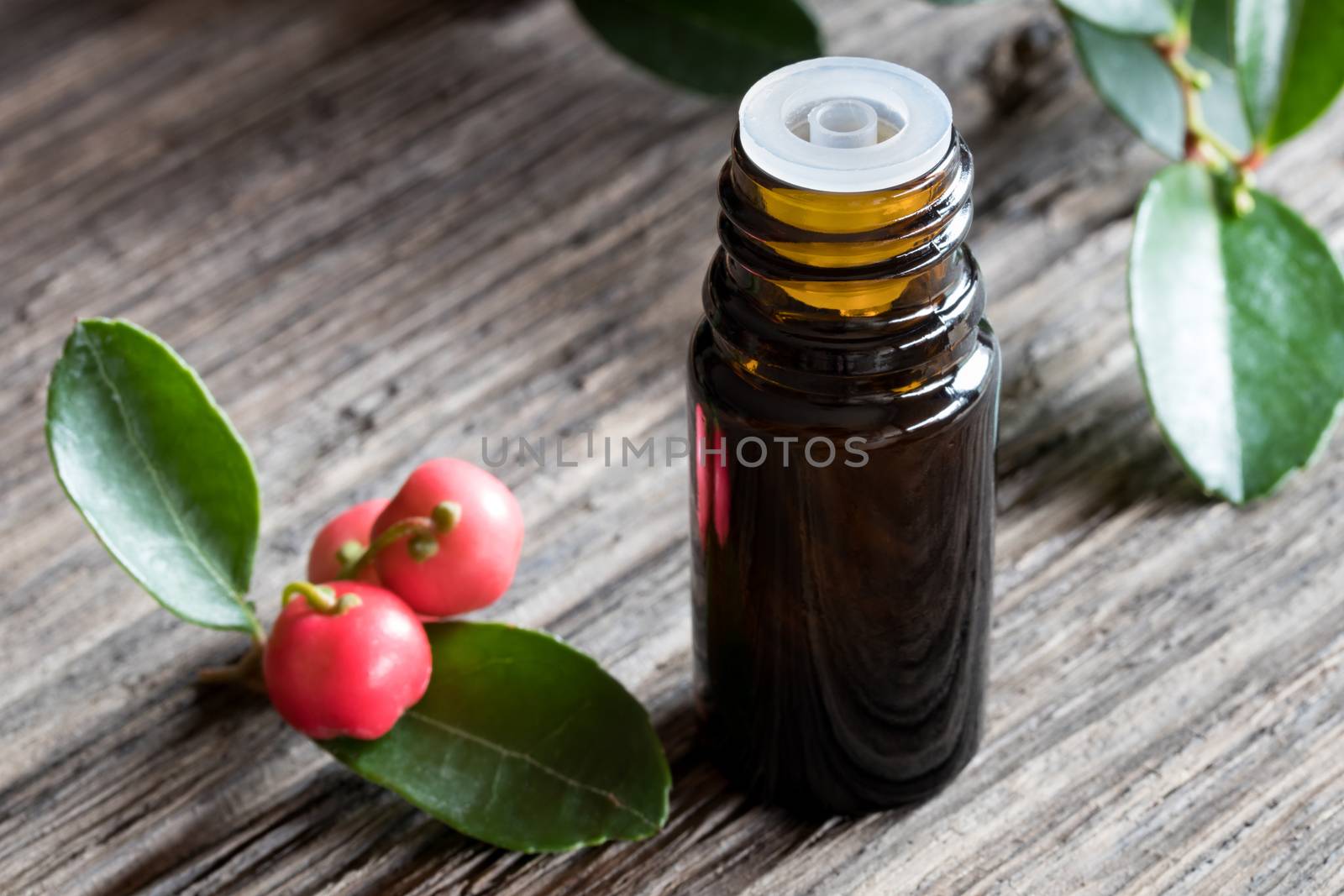 A dark bottle of wintergreen essential oil on old wood, with wintergreen berries and leaves in the background