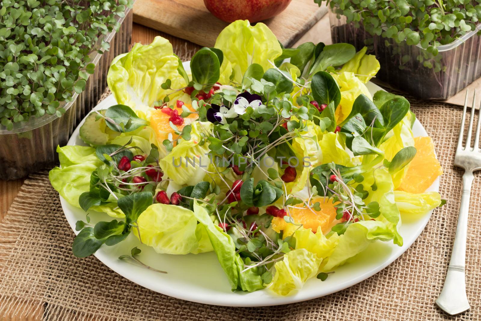 Vegetable salad with freshly grown kale and broccoli micro greens, lettuce, corn salad, avocado, orange, pomegranate