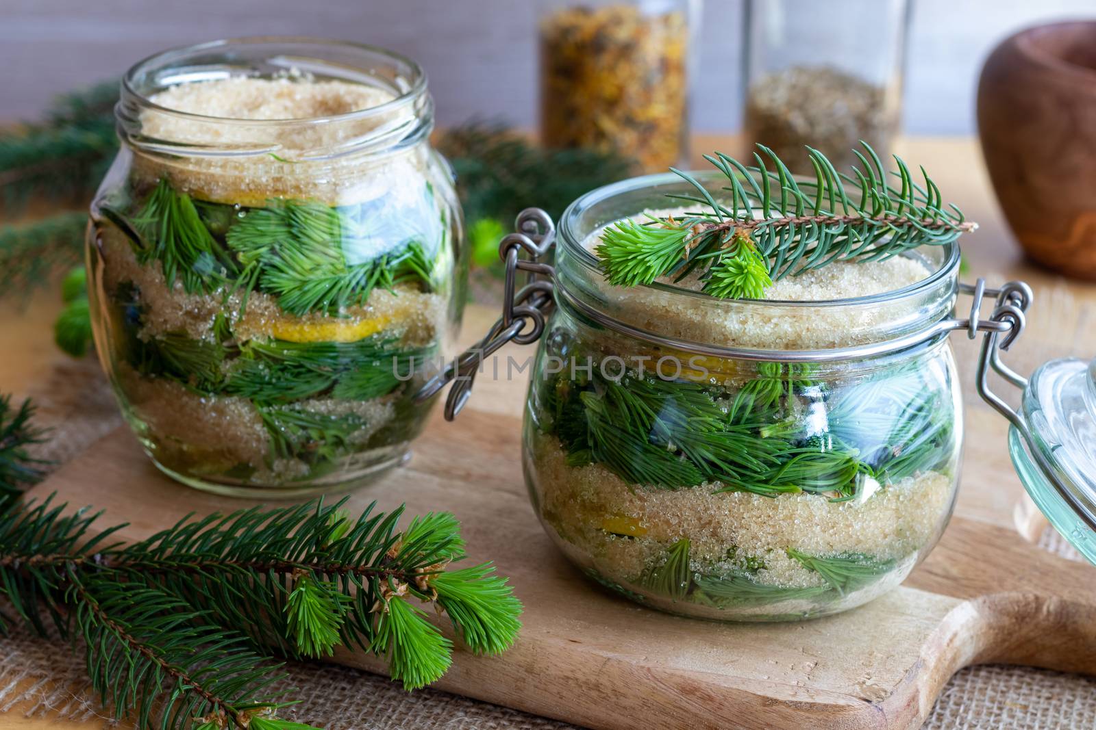 Two jars filled with young spruce tips, lemon and cane sugar, to prepare homemade syrup against cough