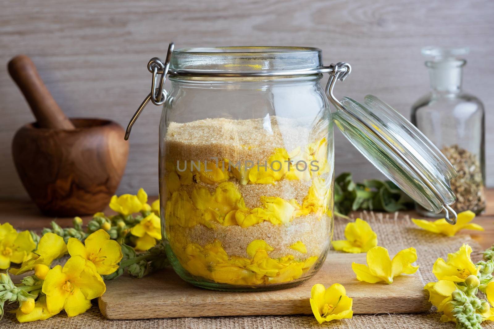 A jar filled with fresh denseflower mullein flowers and cane sugar, to prepare homemade herbal syrup against cough