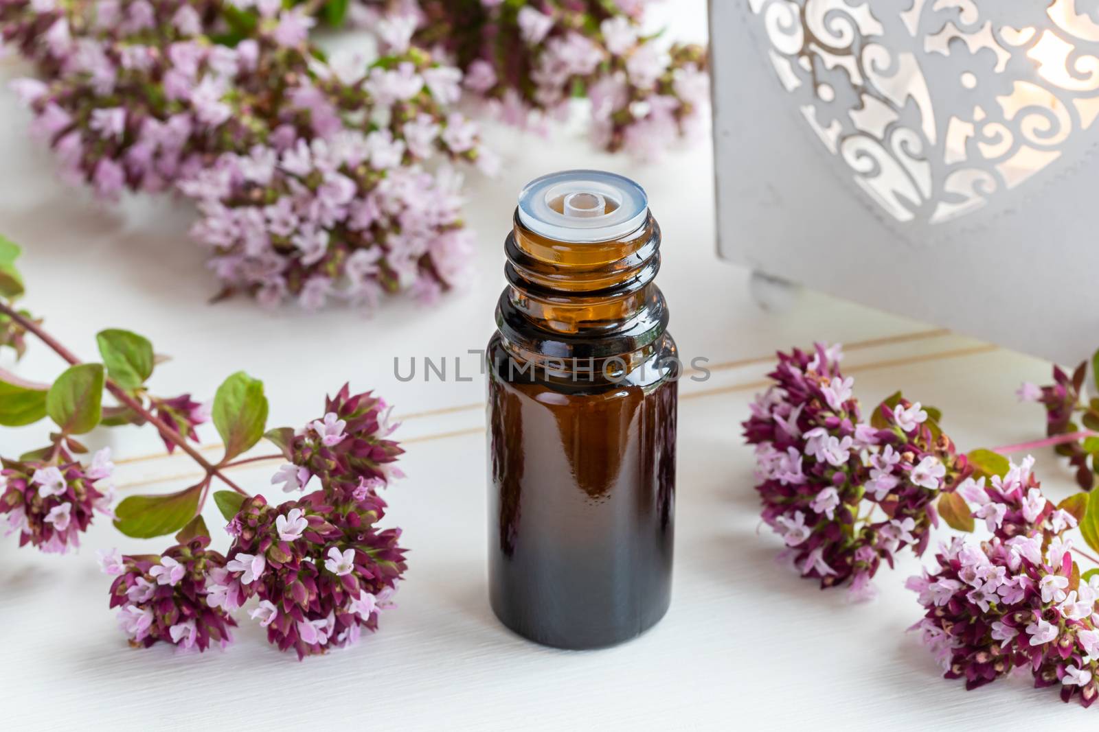 A bottle of essential oil with fresh blooming oregano twigs on a white table
