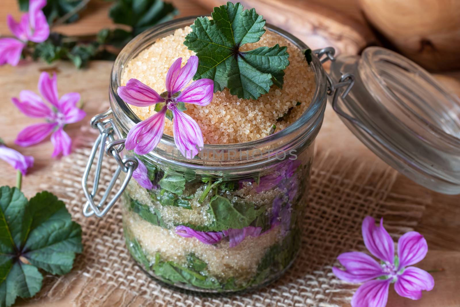 Preparation of a homemade syrup against cough from wild common mallow flowers and cane sugar