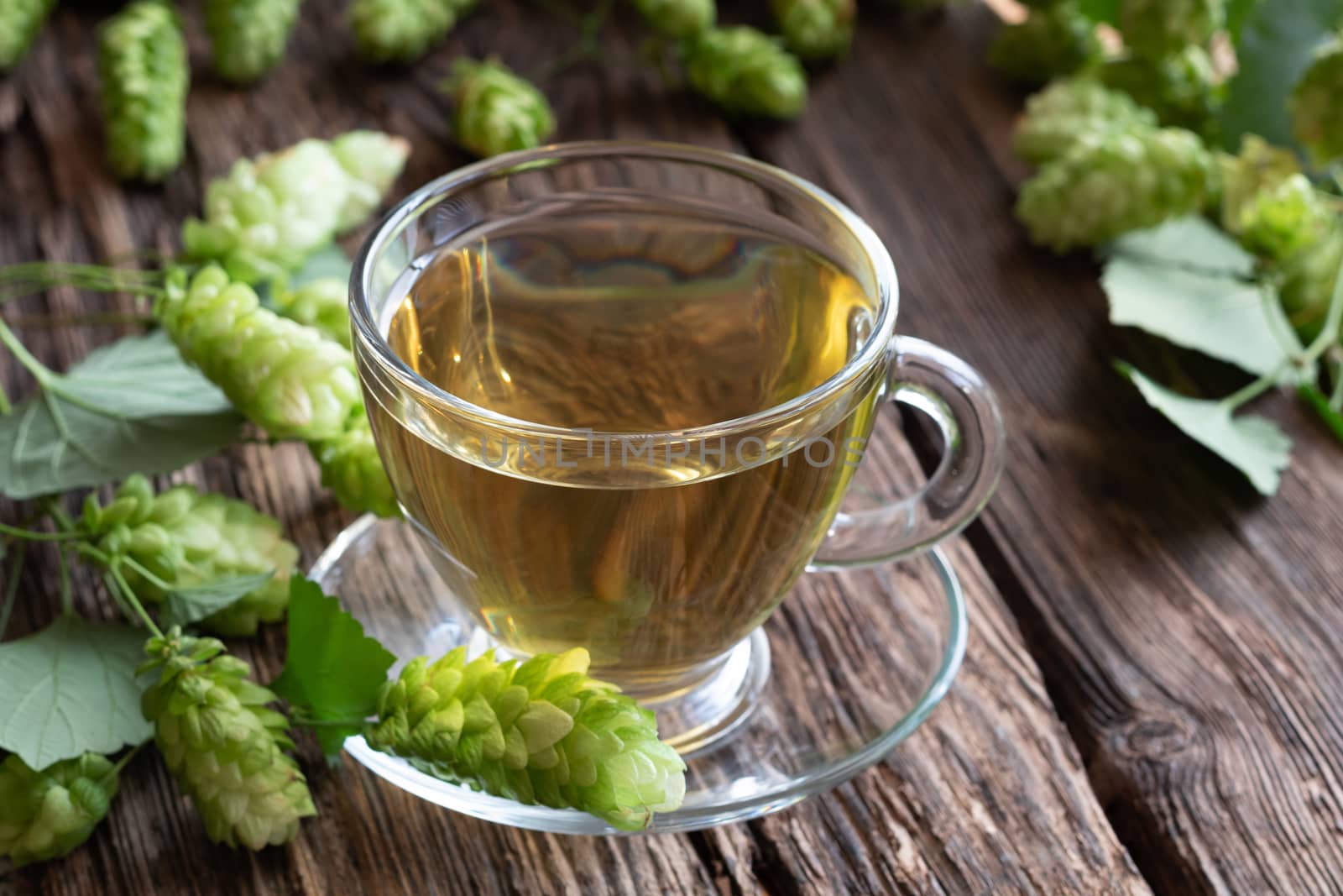 A cup of herbal tea with wild hops