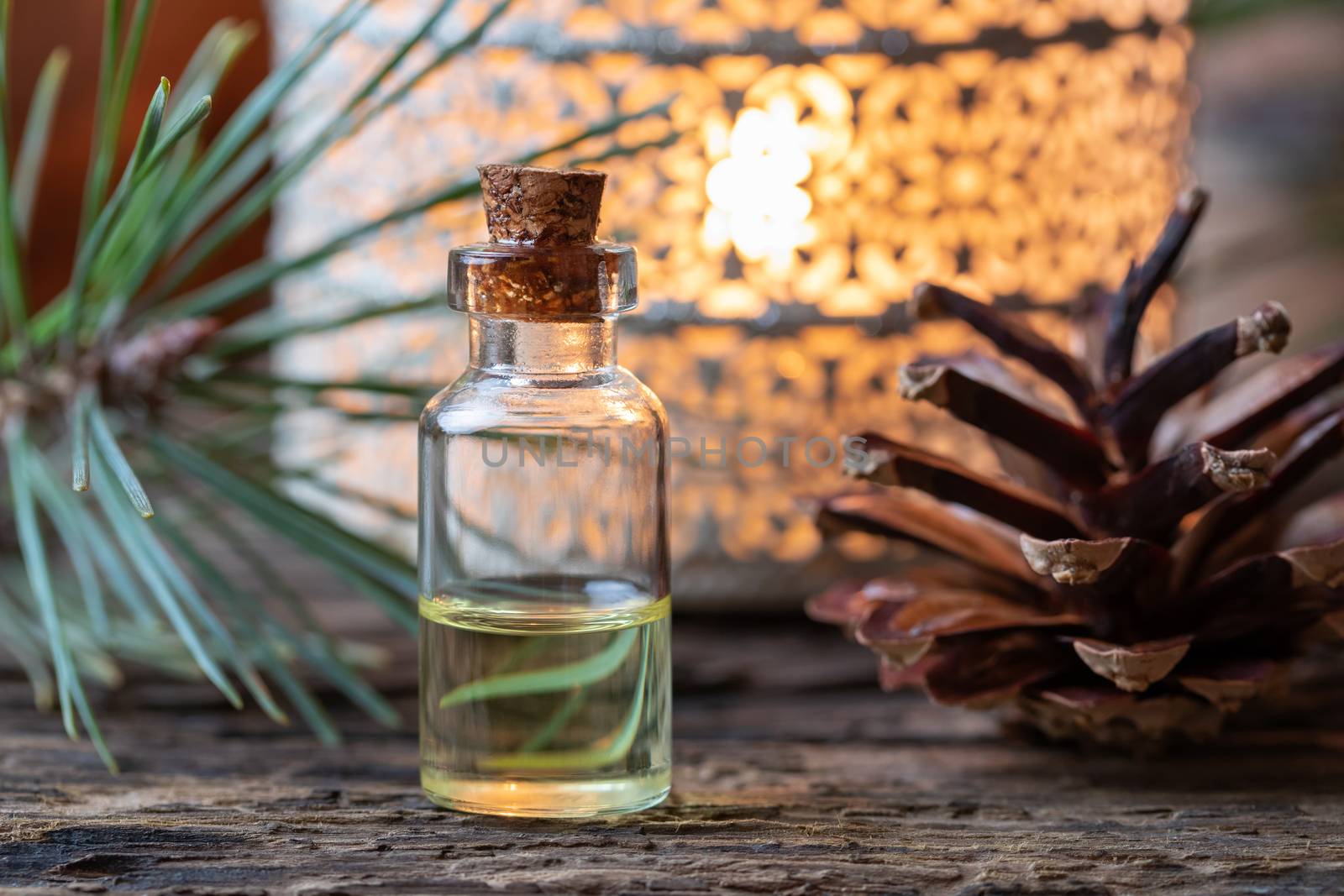 A bottle of essential oil with pine branches and cones in the background