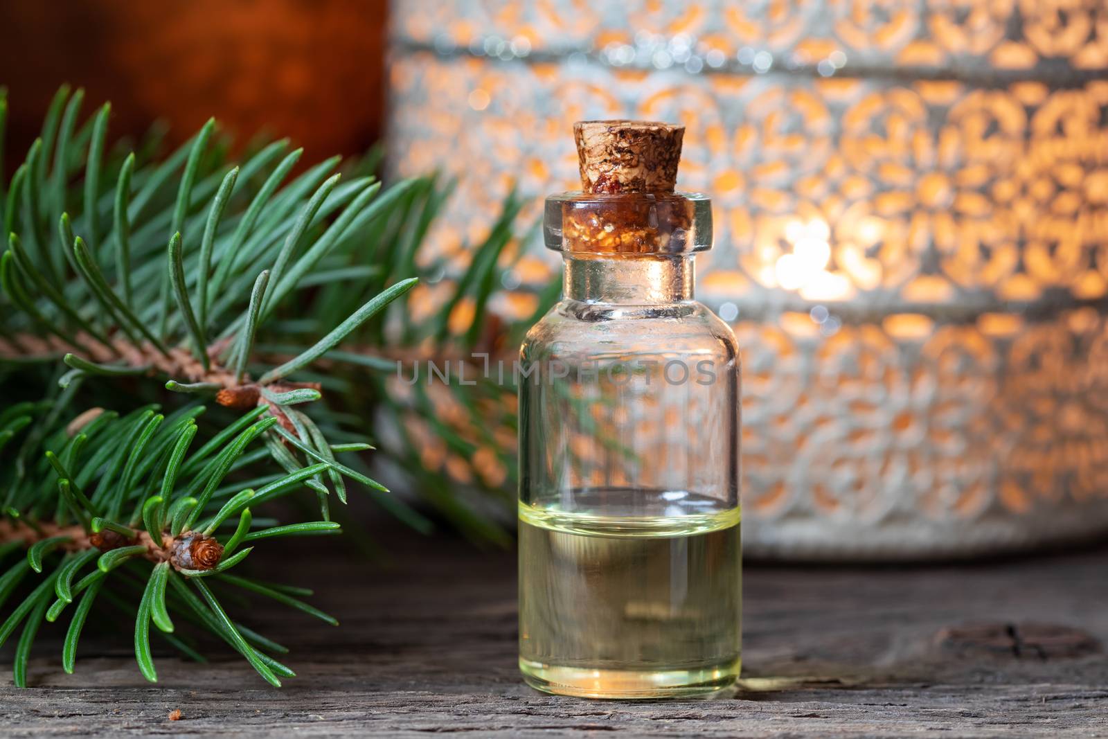A bottle of essential oil with fresh spruce branches