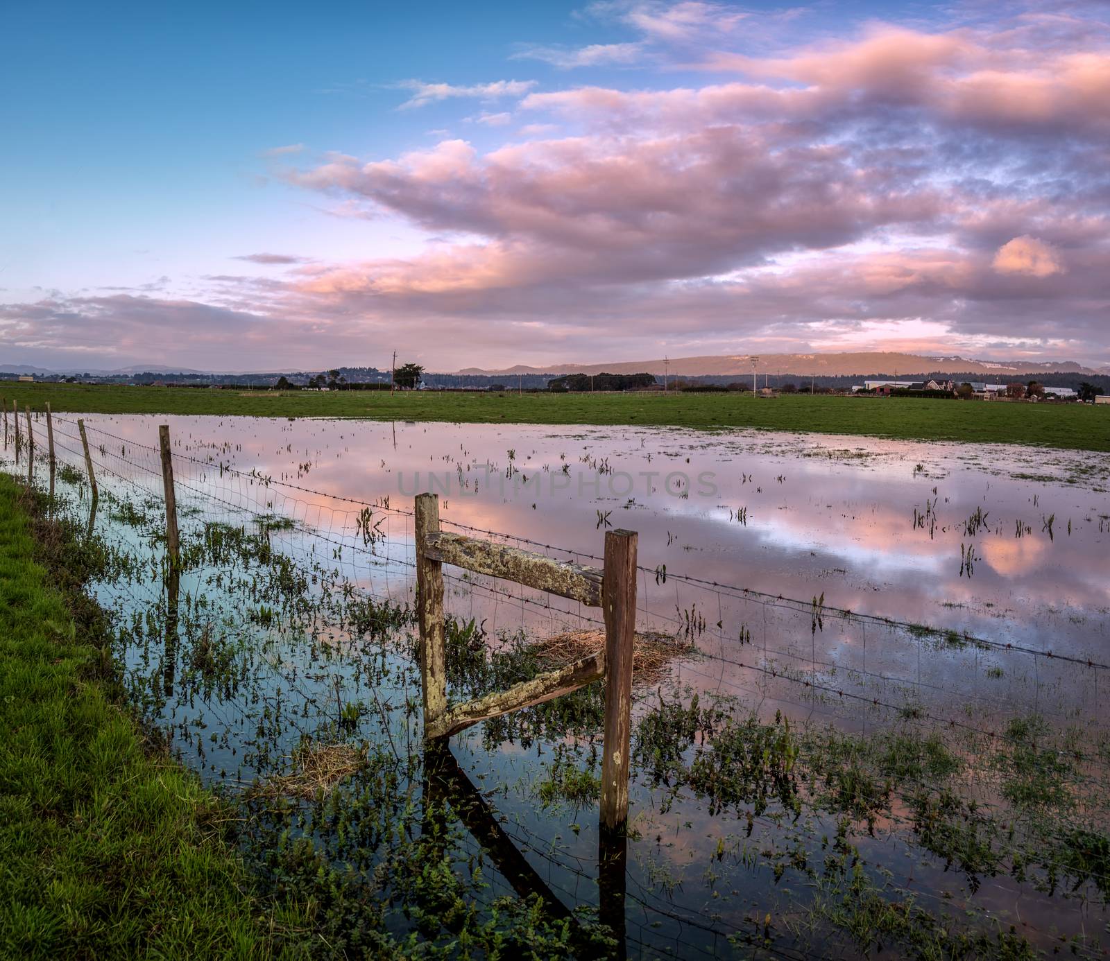 A barbed wire fence crosses a flooded pasture at sunset. , Northern California, USA