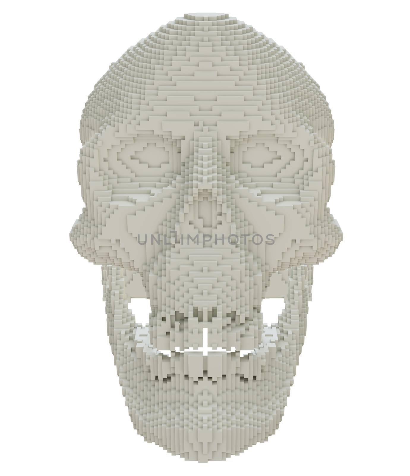 3d printed skull isolated by cherezoff