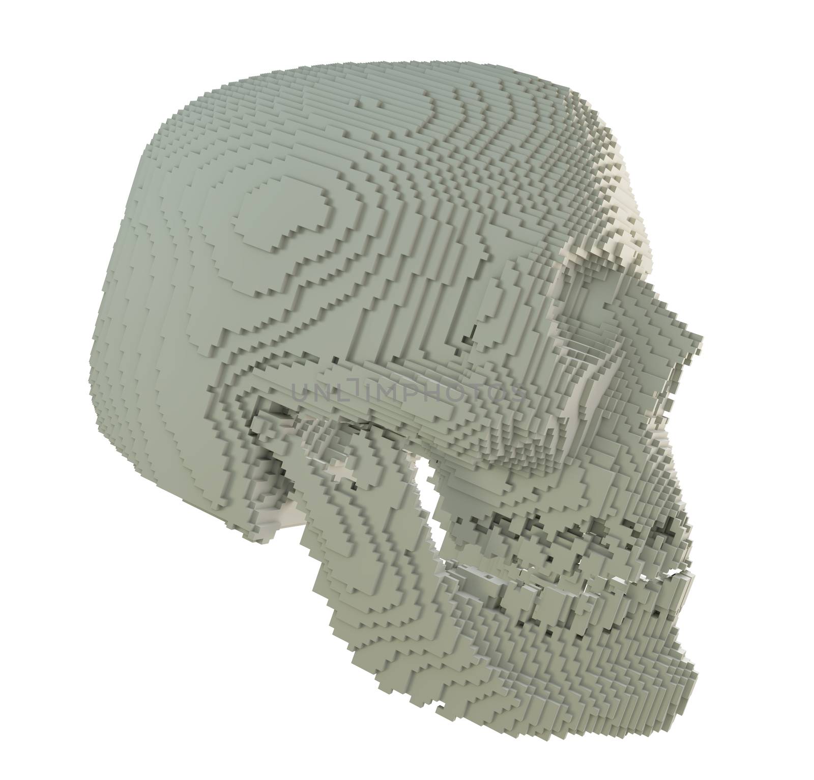 3d printed skull isolated on white background. 3D illustration