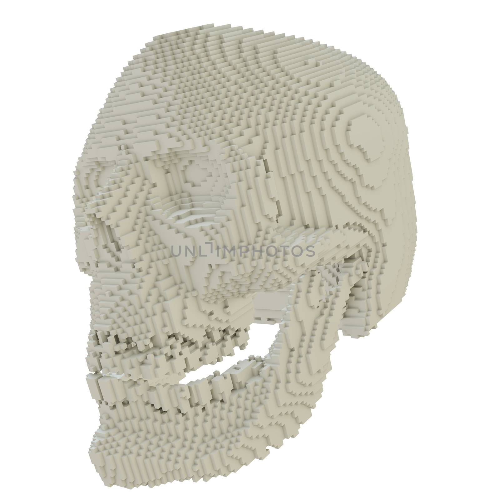 3d printed skull isolated by cherezoff