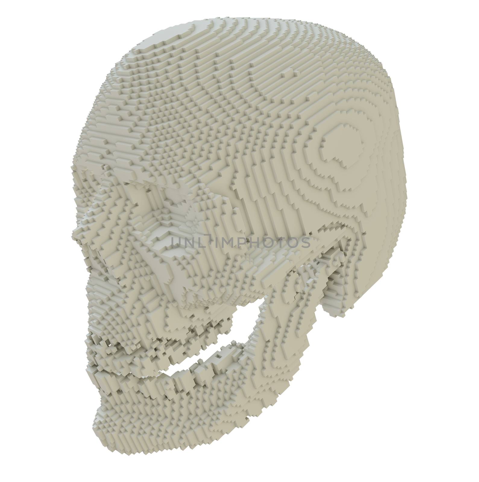 3d printed skull isolated by cherezoff