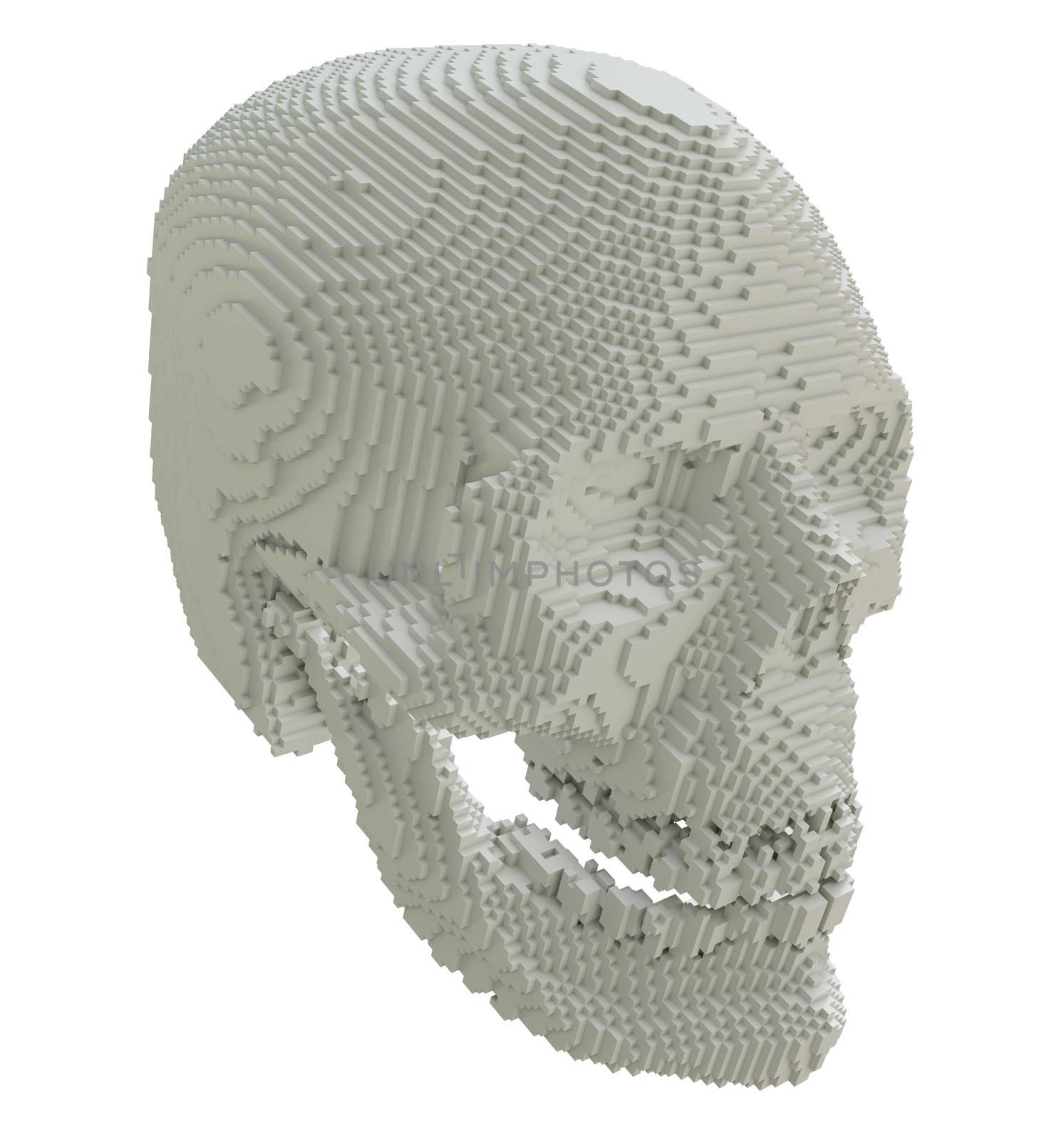 3d printed skull isolated on white background. 3D illustration