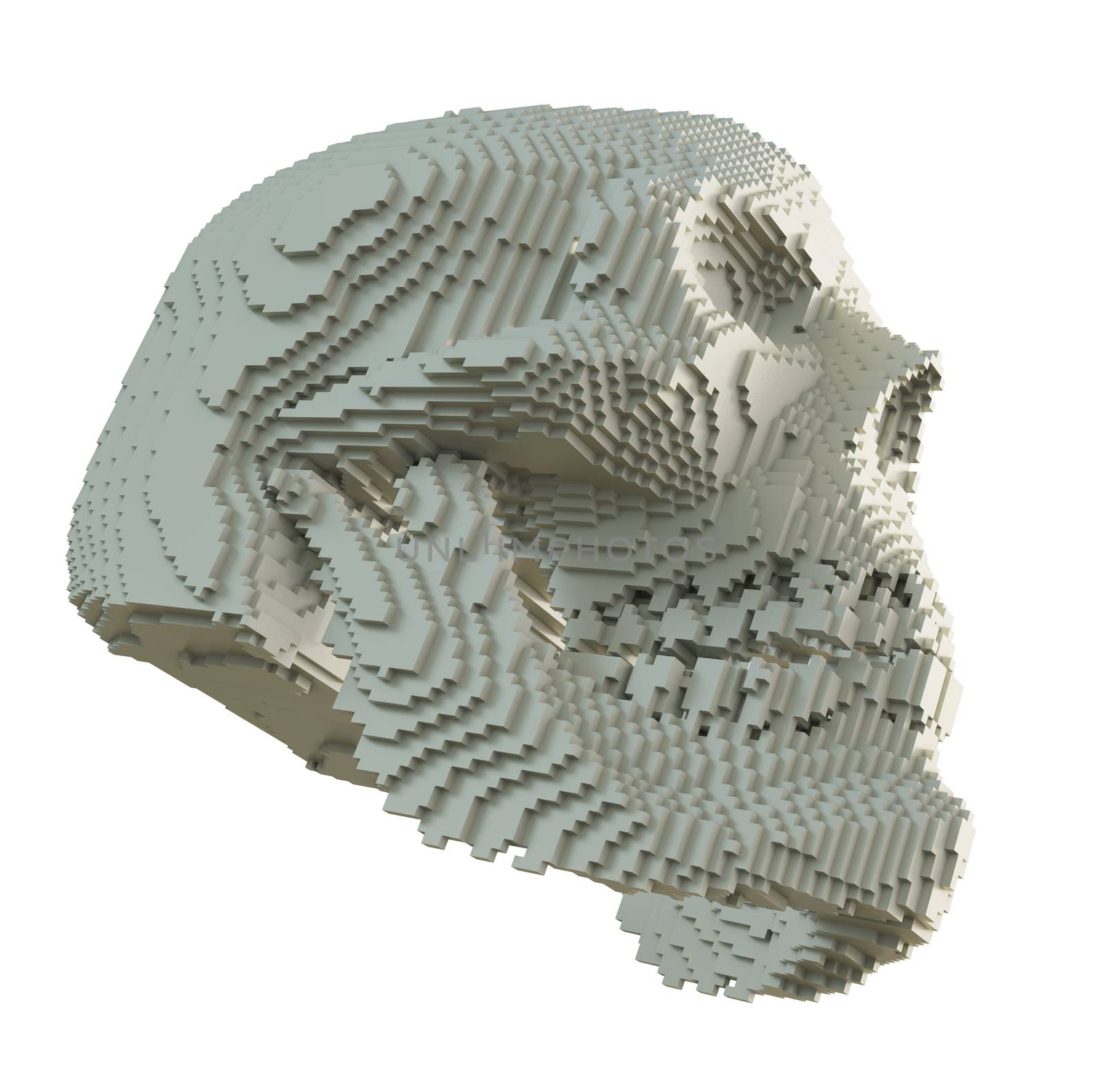 3d printed skull isolated by cherezoff