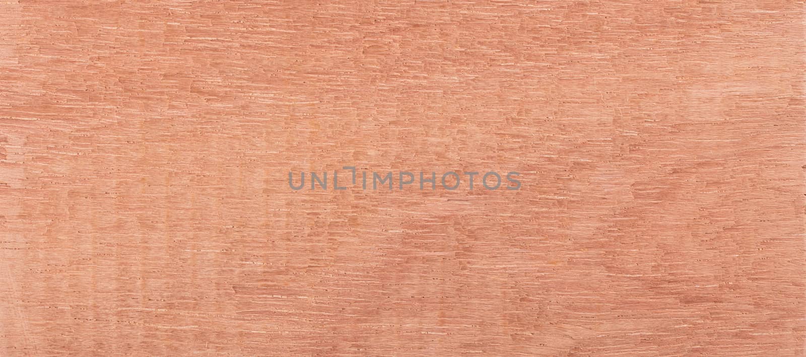 Wood background - Wood from the tropical rainforest - Suriname - Vochysia quianensis