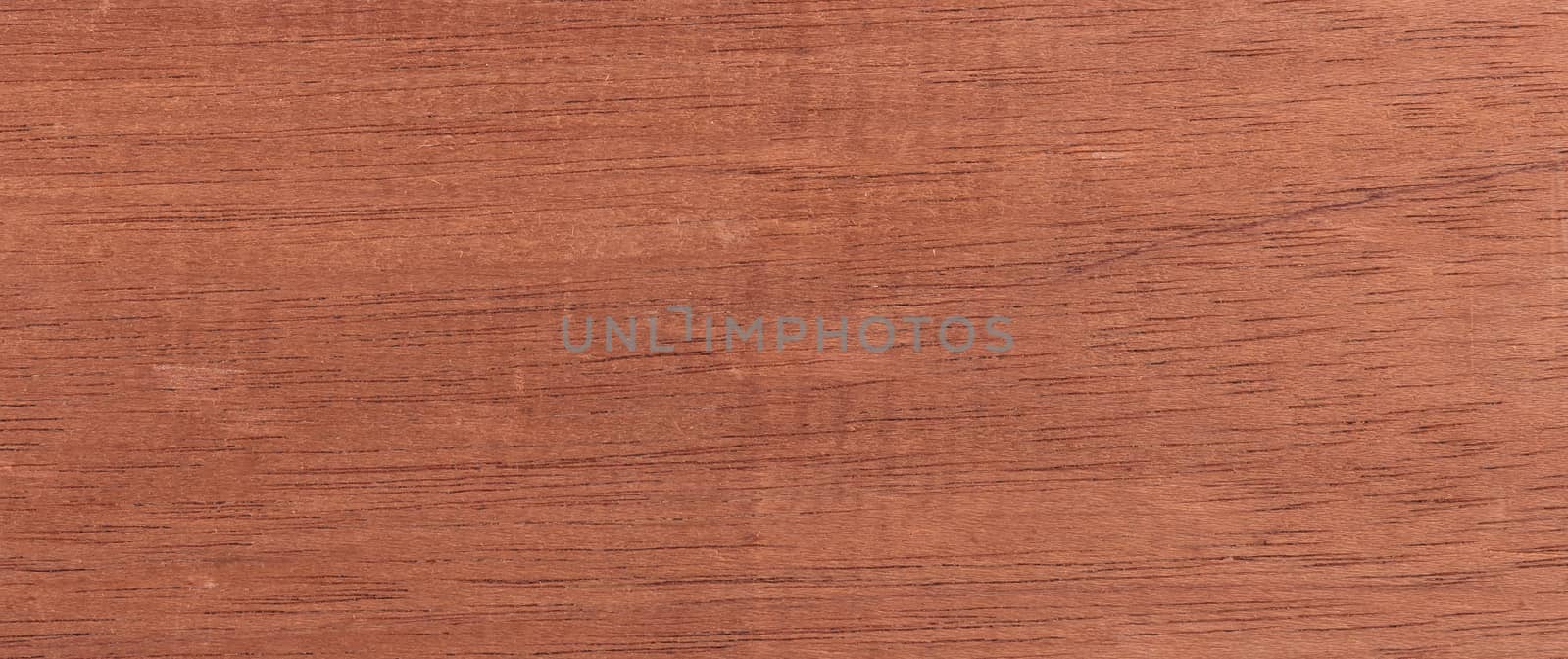 Wood background - Wood from the tropical rainforest - Suriname - Carapa guianensis Aubl