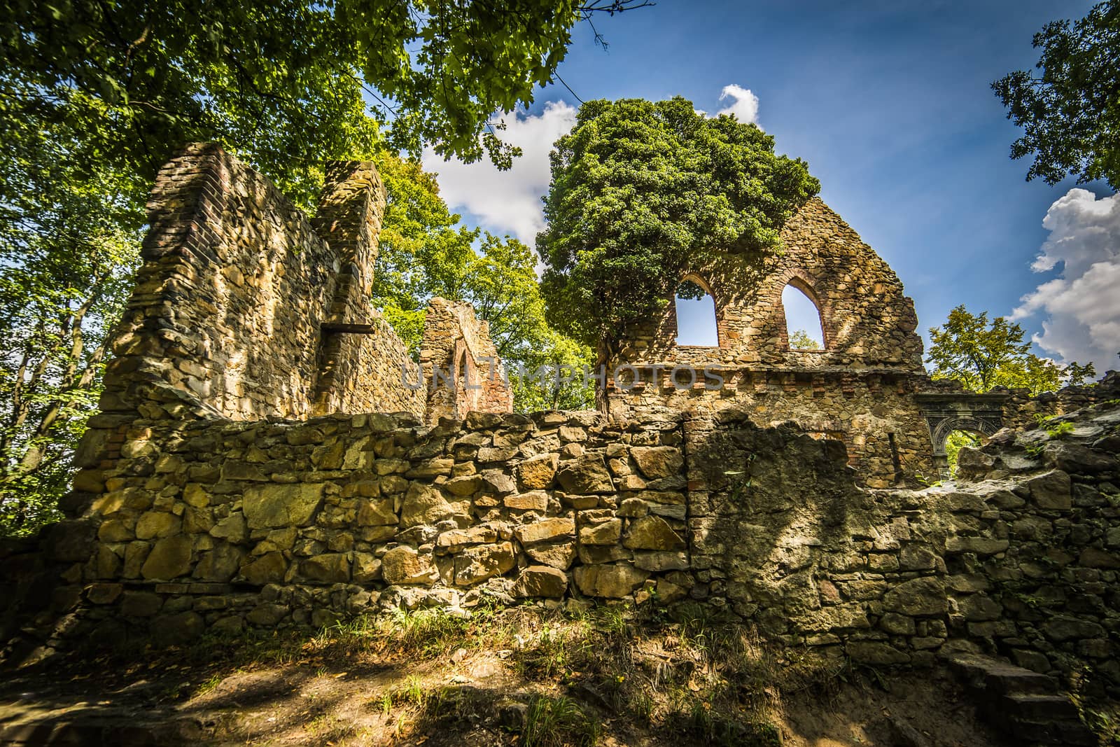 Ruins of old Ksiaz castle by furzyk73