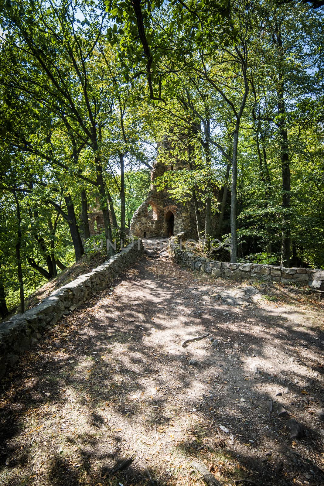 Ruins of old Ksiaz castle by furzyk73