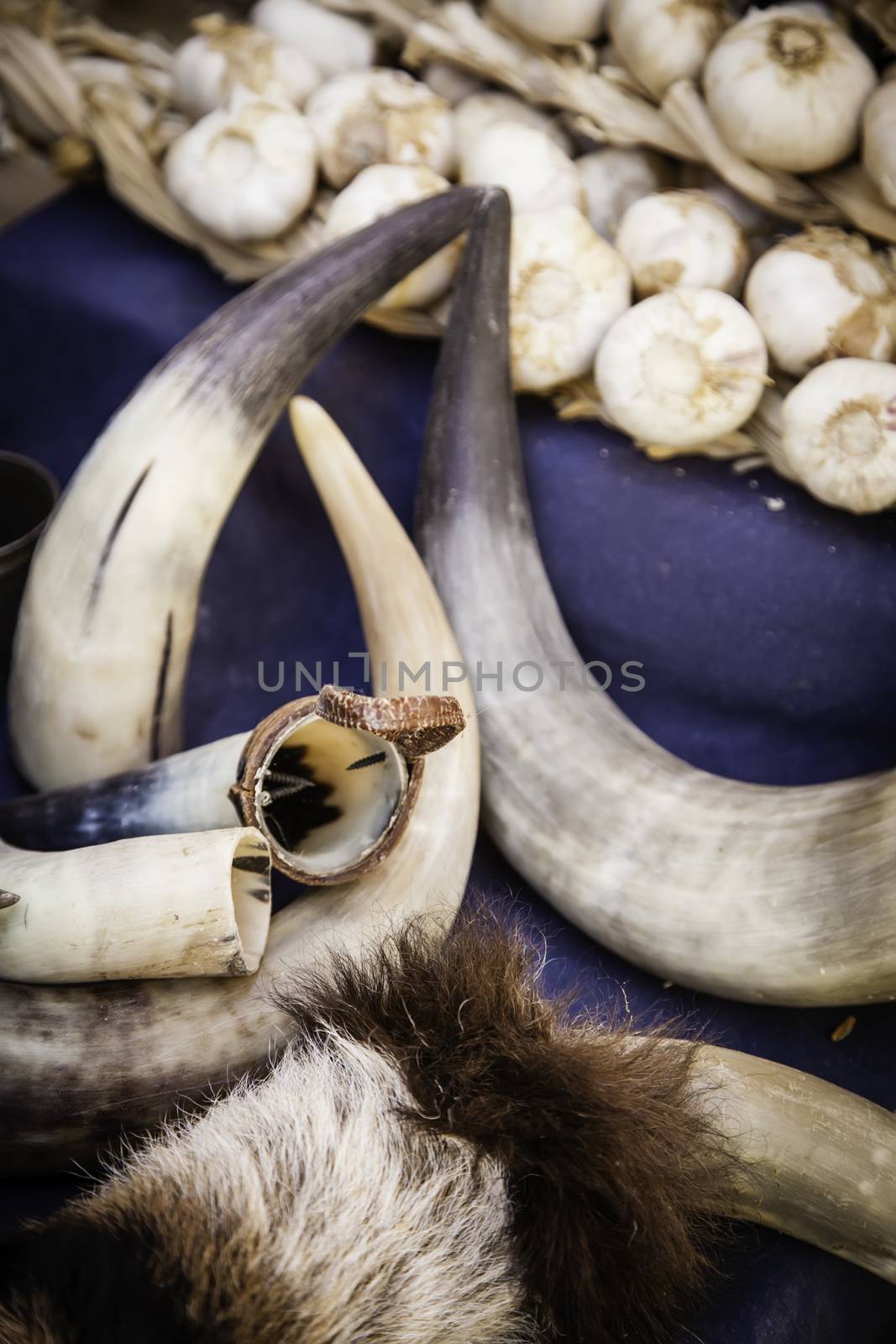 Animal horns by esebene