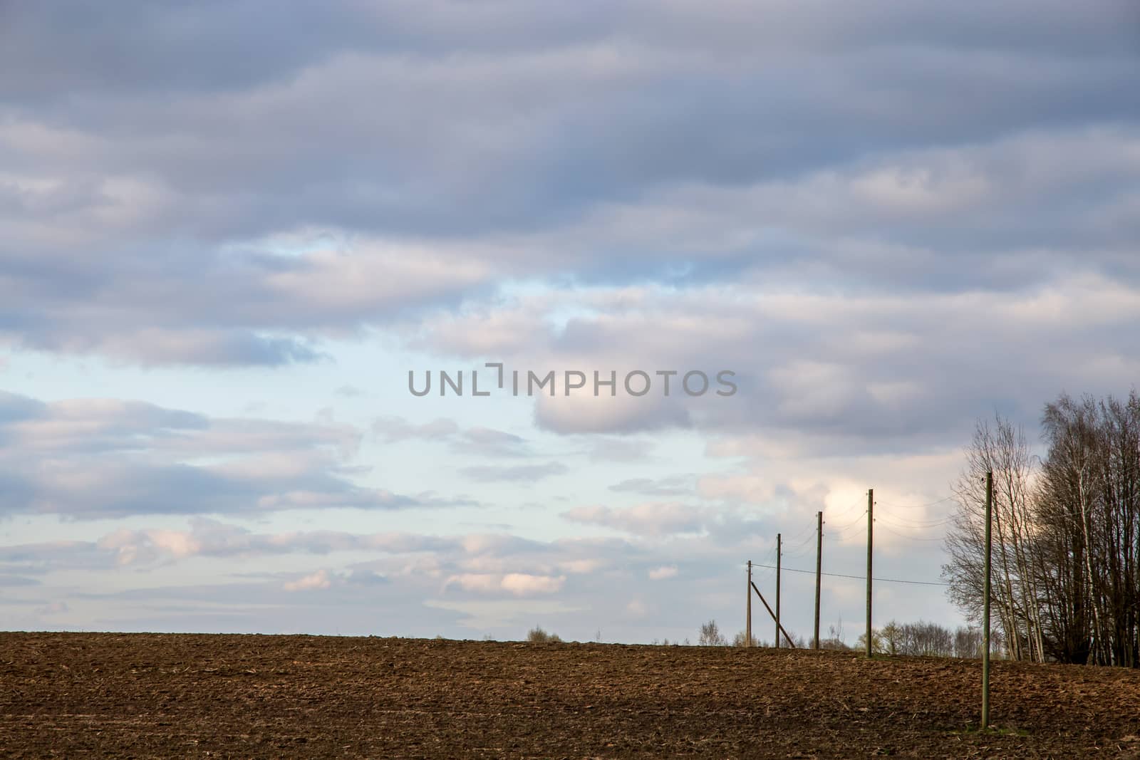 Plowed field and trees on the back, against a blue sky. Spring landscape with cornfield, wood and cloudy blue sky. Classic rural landscape in Latvia.