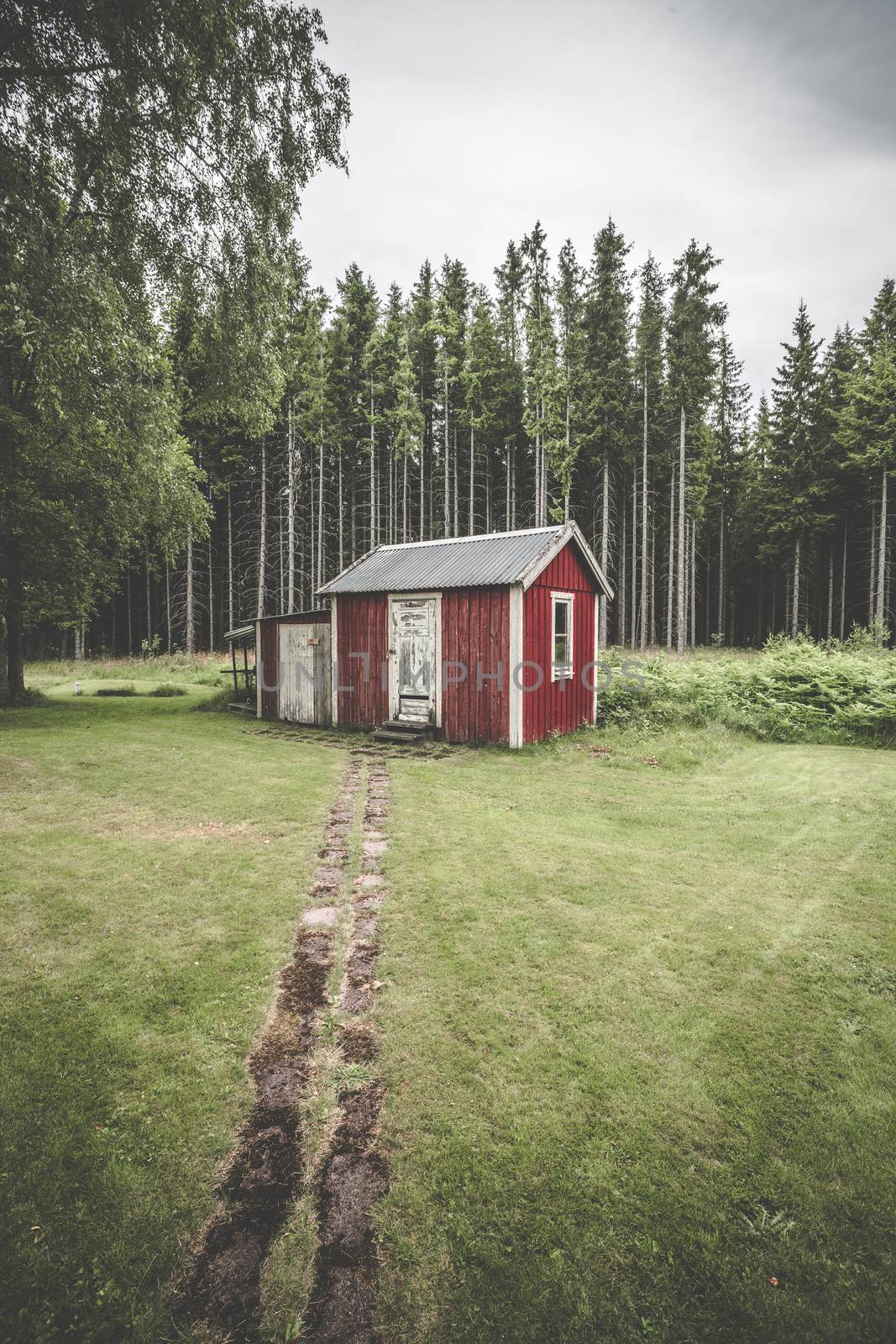 Trail leading up to a small red cabin in the woods surrounded by tall pine trees in Sweden