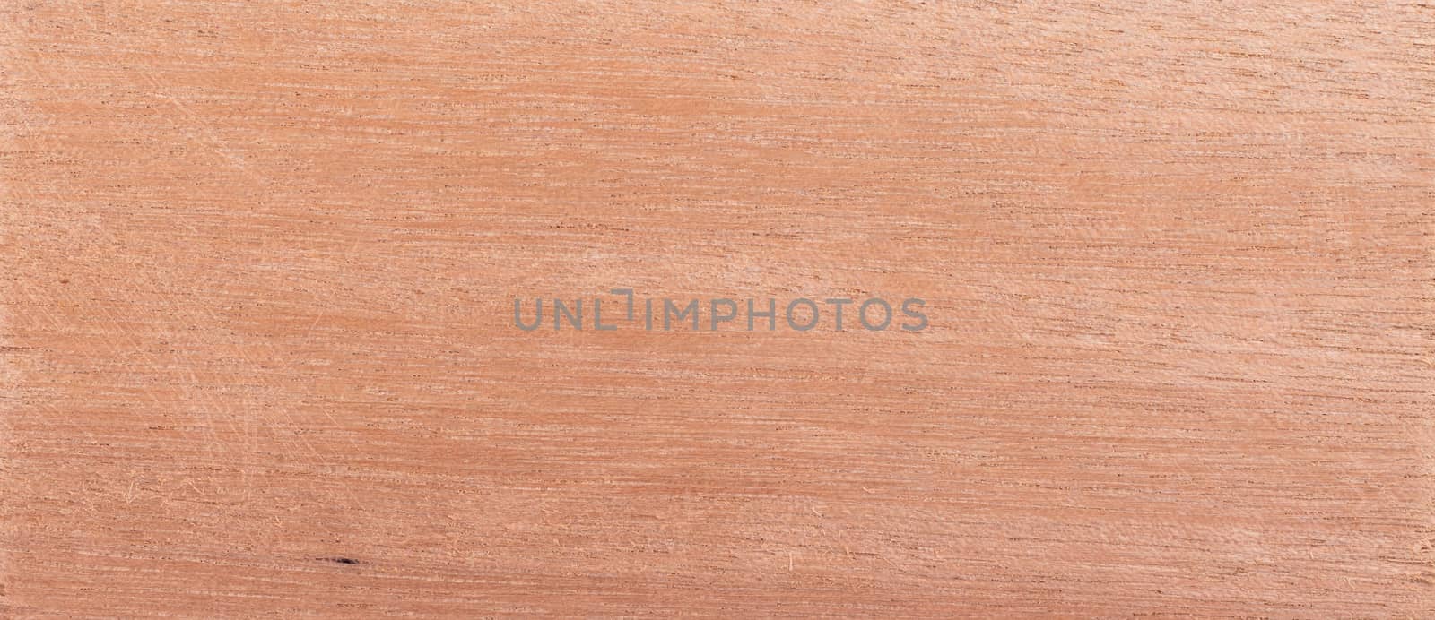 Wood background - Wood from the tropical rainforest - Suriname - Qualea spp