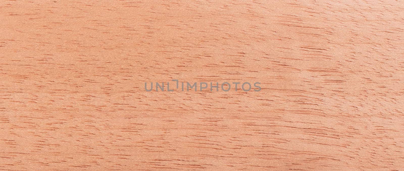 Wood background - Wood from the tropical rainforest - Suriname - Virola surinamensis