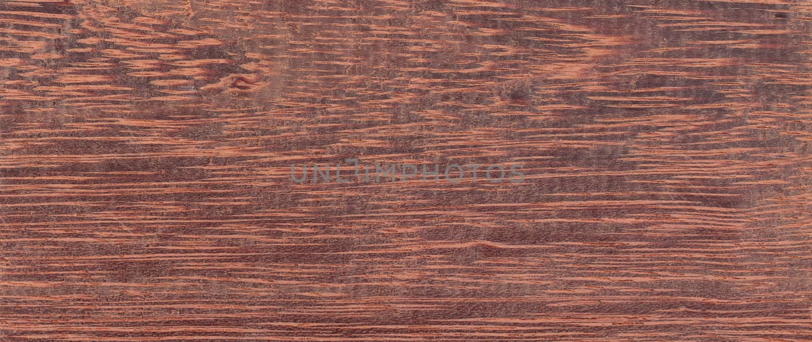 Wood background - Wood from the tropical rainforest - Suriname - Andira Coriacea Pulle