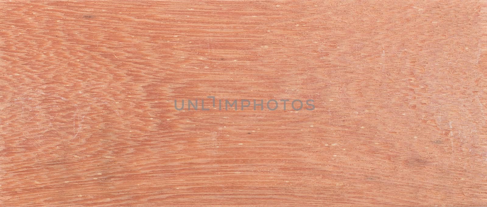 Wood background - Wood from the tropical rainforest - Suriname - Symphonia globulifera