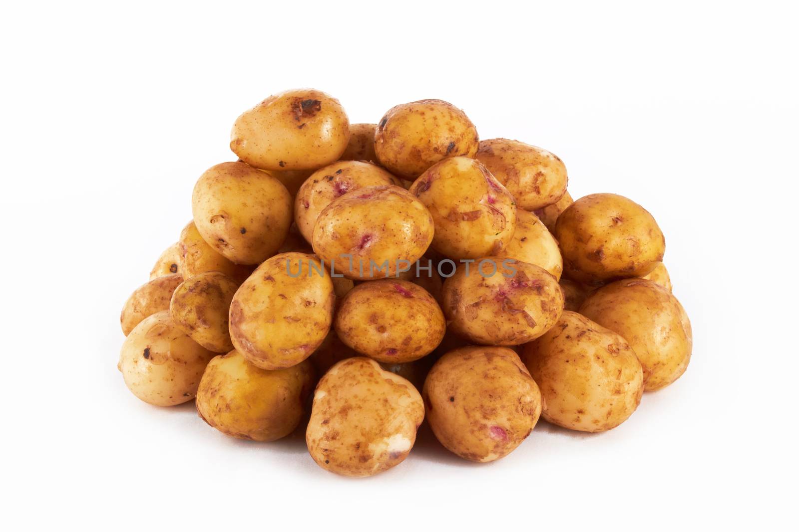 bunch of potatoes on white background close up shoot 