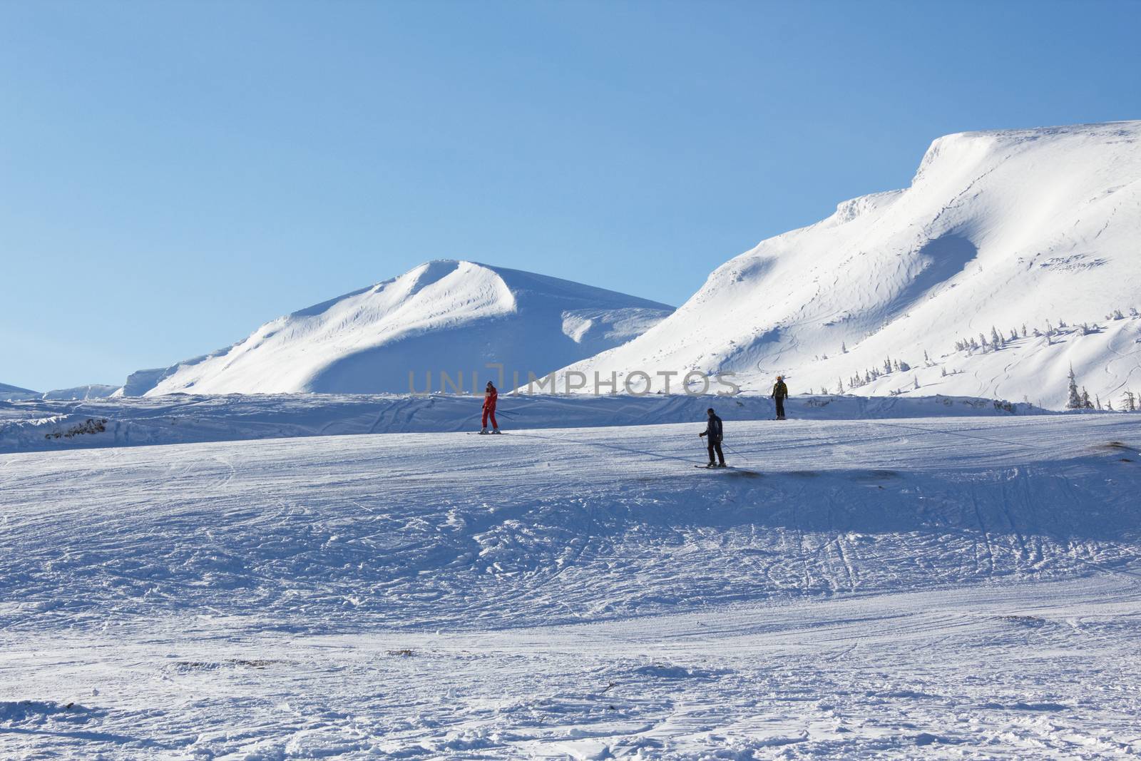Skiers in a high mountains 