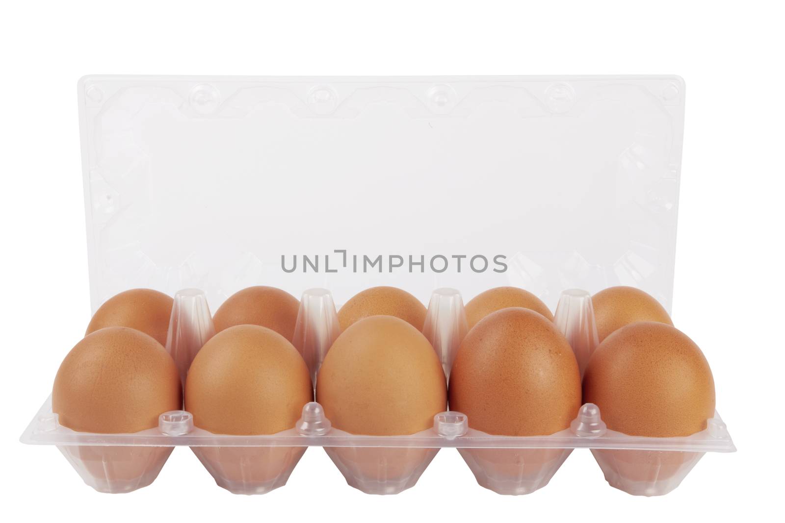 Eggs in plastic box isolated