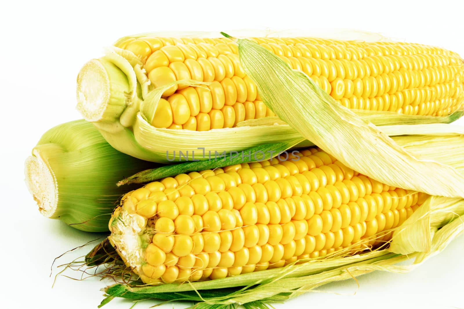 fresh corn vegetable with green leaves closeup