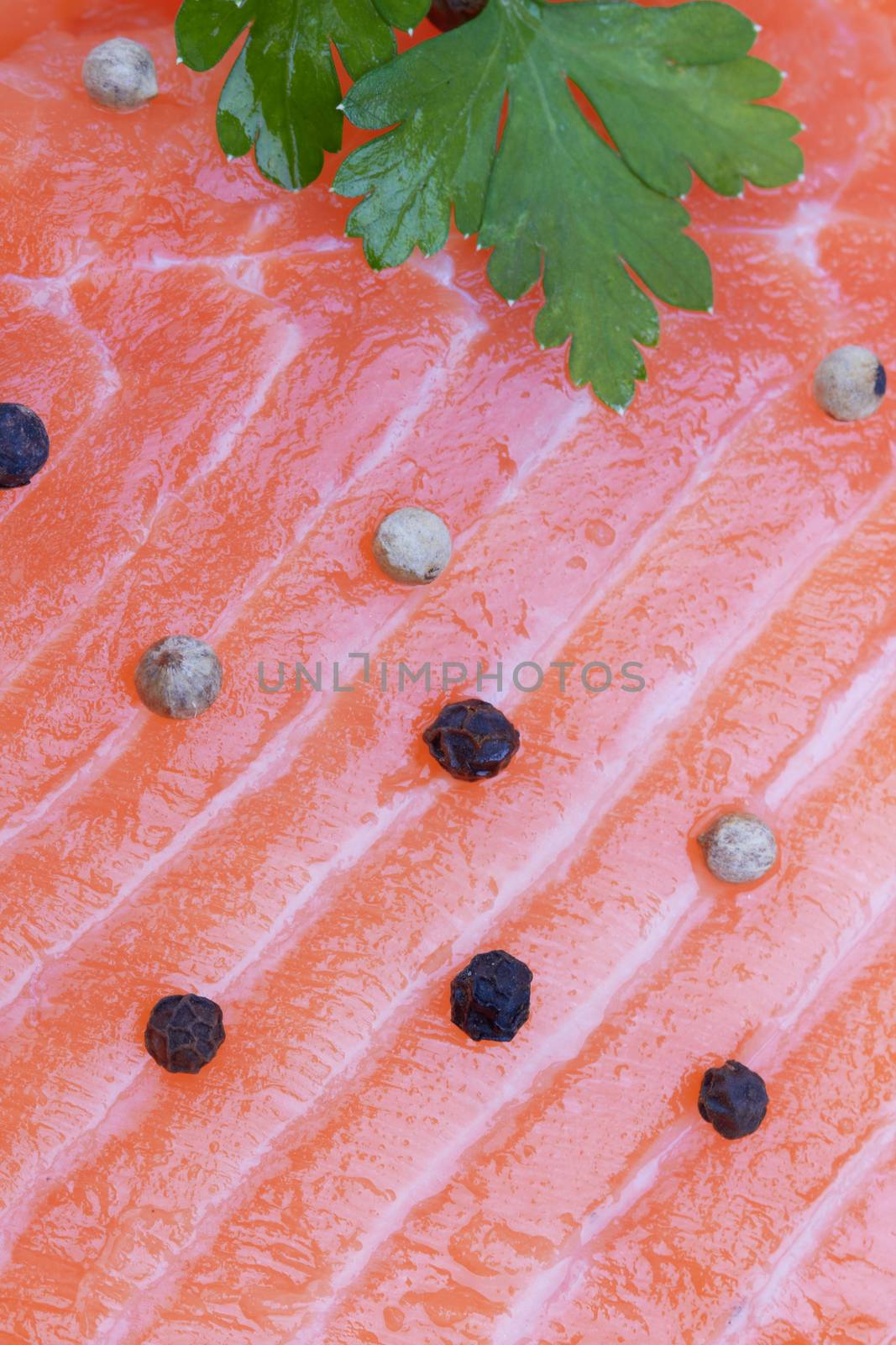 raw salmon fillet isolated over white background 