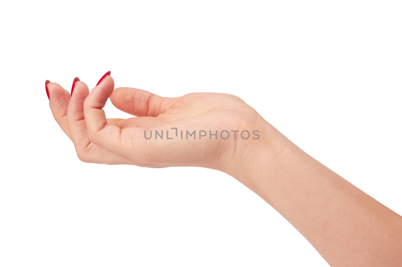 hand of a young woman with long red manicure on  white background 