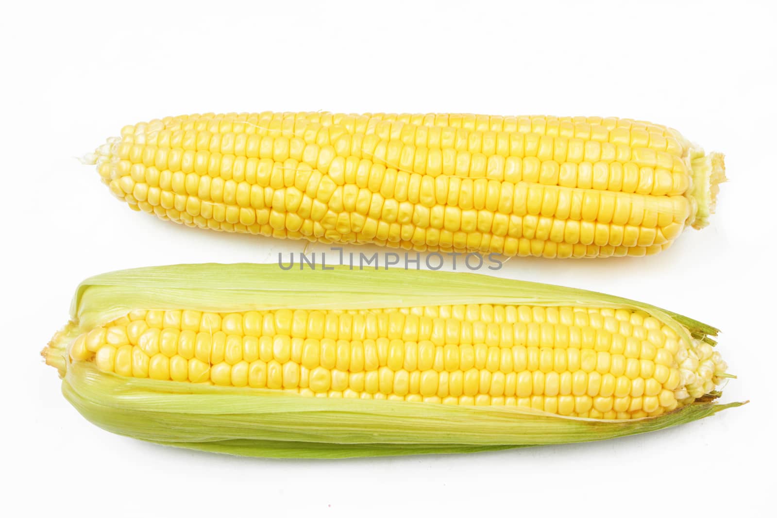 fresh corn vegetable with green leaves closeup 