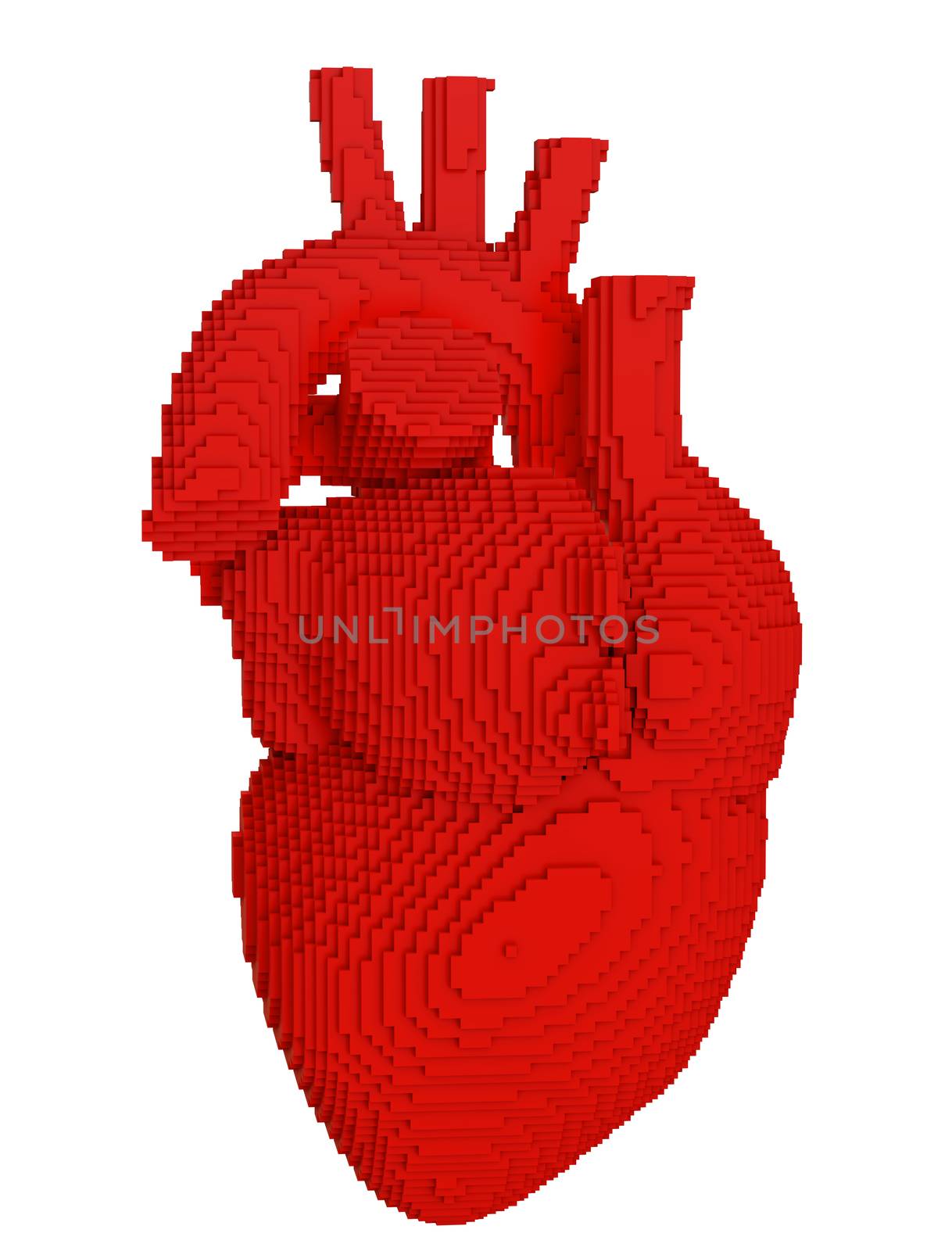 3d printed heart isolated on white background. Concept 3d printing of internal organs. 3D illsutration