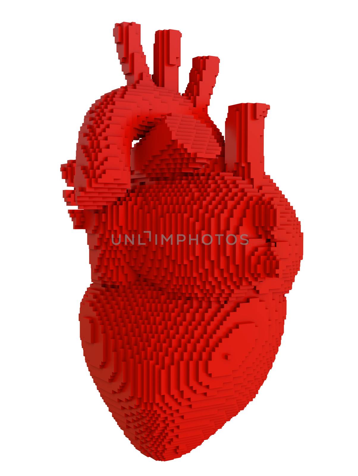 3d printed heart isolated on white background. Concept 3d printing of internal organs. 3D illsutration