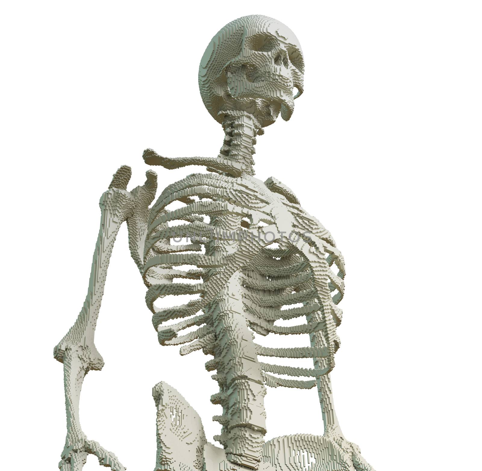 3d printed skeleton isolated by cherezoff