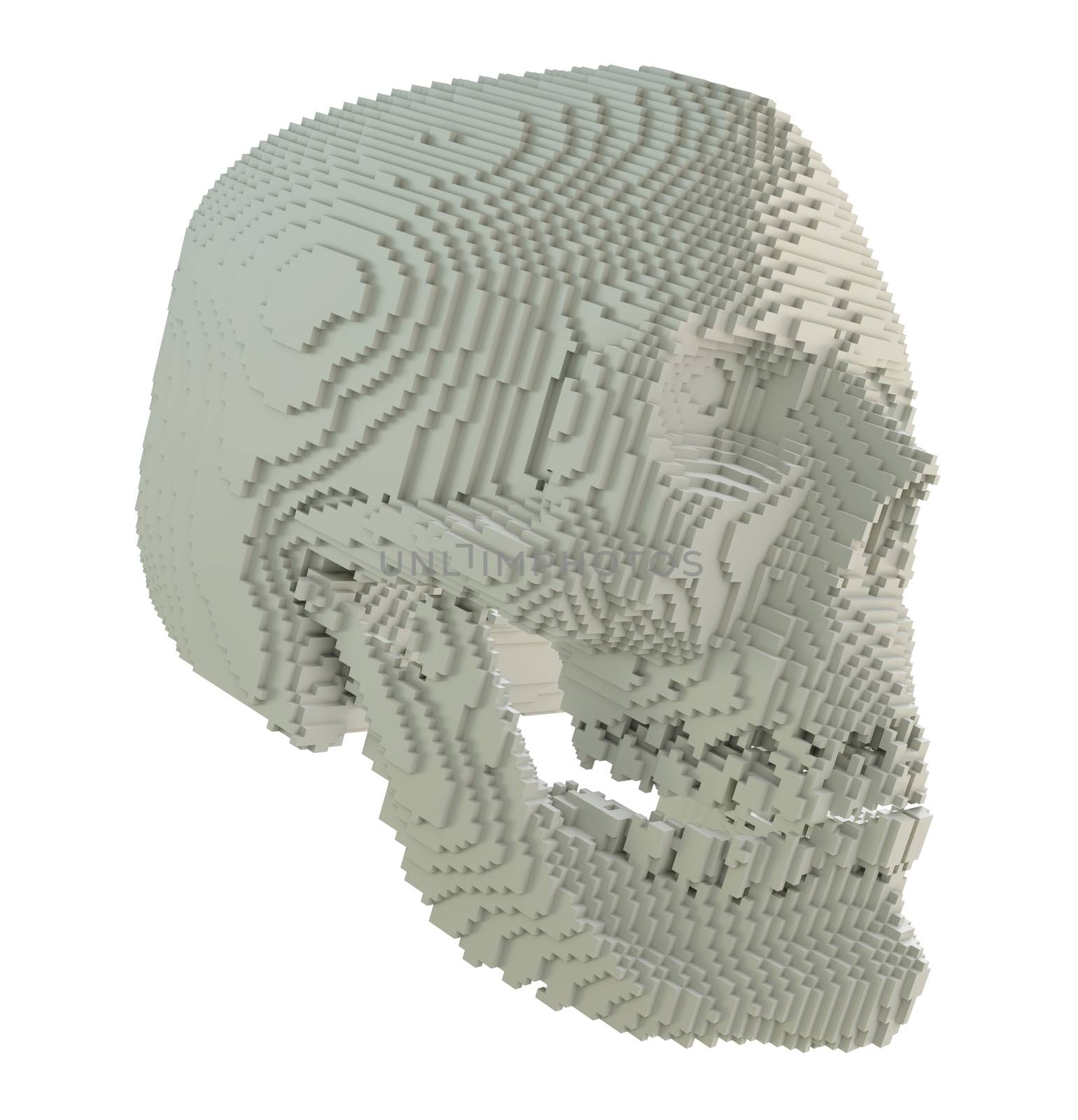 3d printed skull isolated by cherezoff