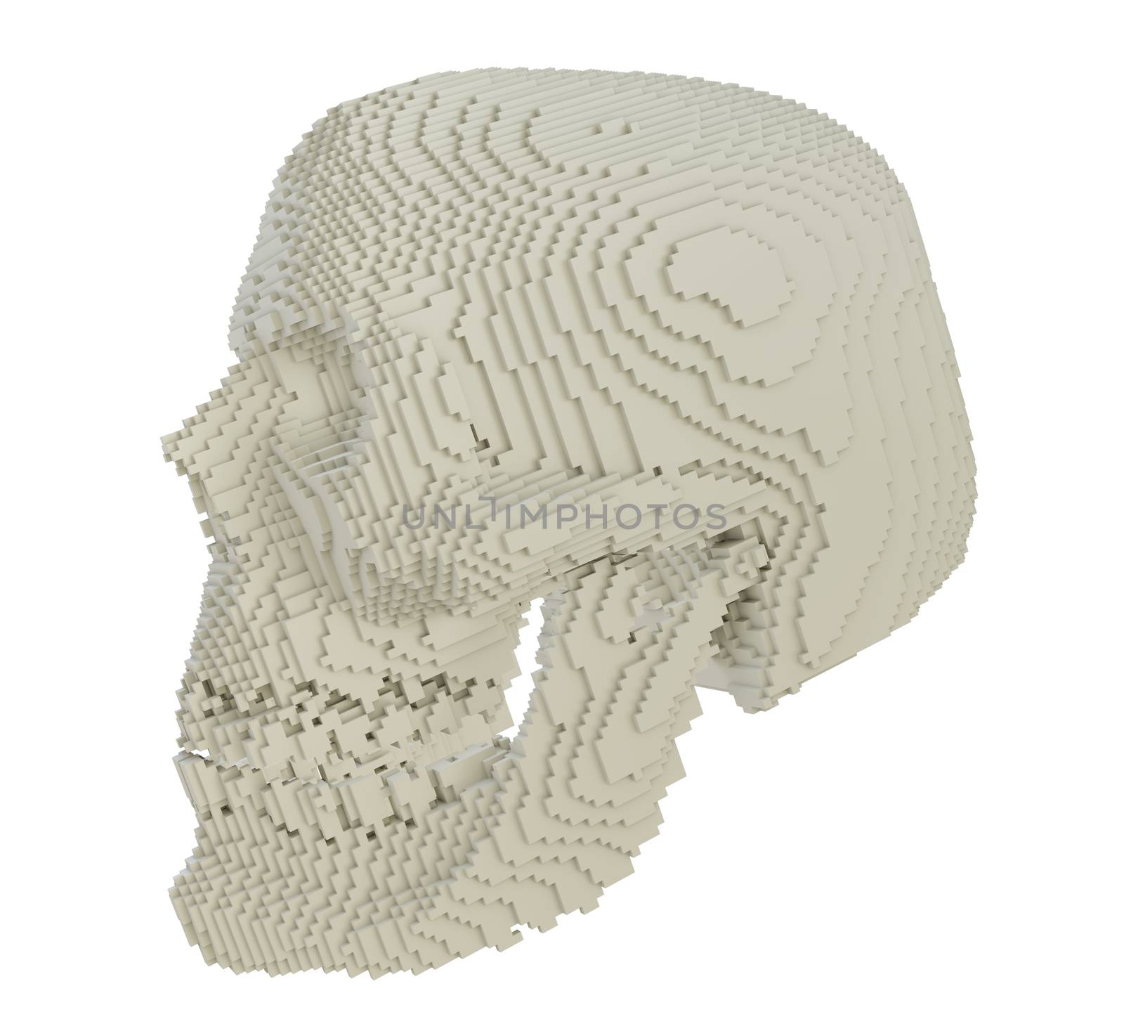 3d printed skull isolated by cherezoff