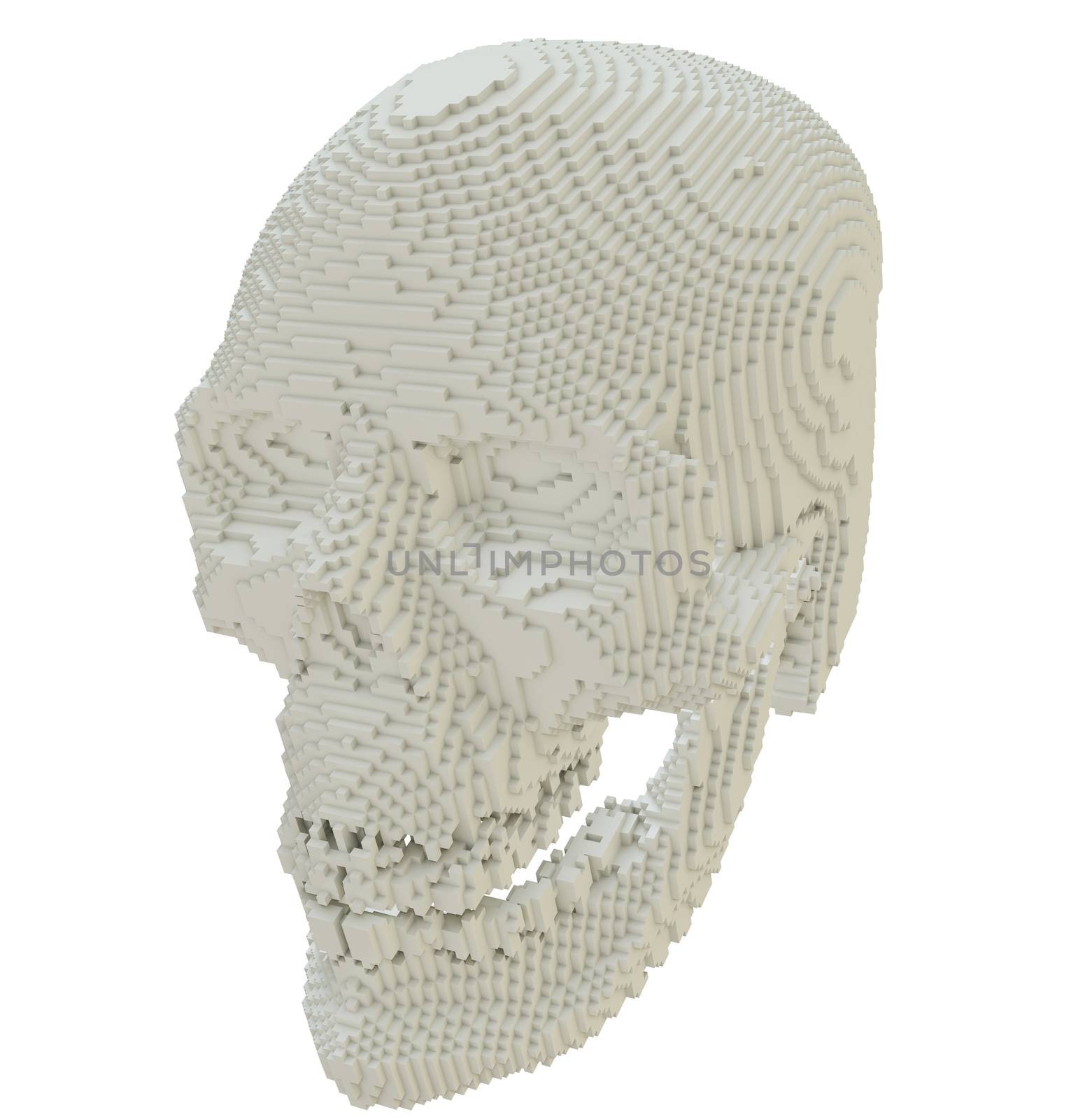 3d printed skull isolated on white background. 3D illustration