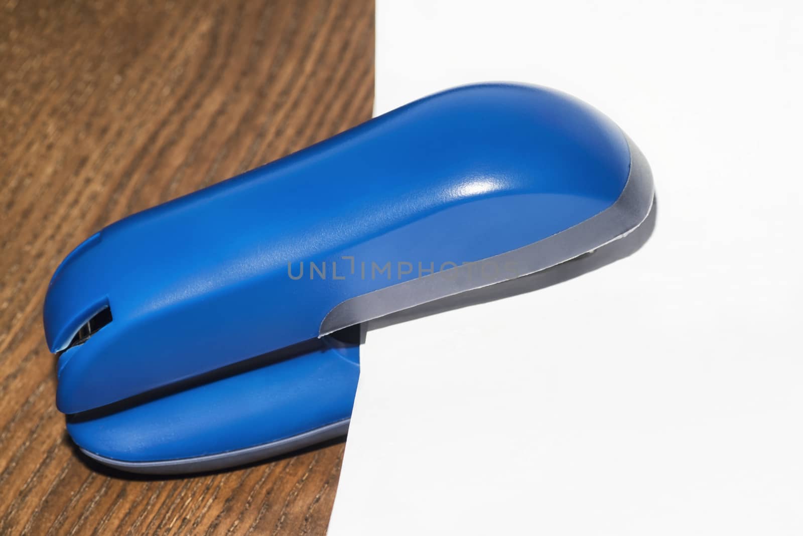 Blue stapler on the table with a white sheet of paper.Office concept. by nkooume