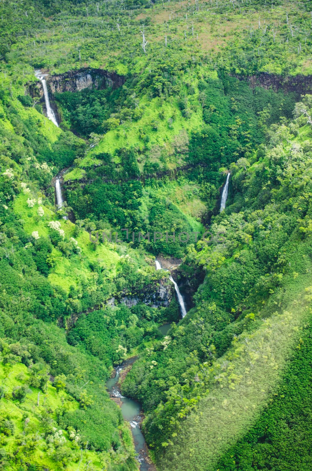 Cascade of cascades in the greenness of Kauai, US by mikelju