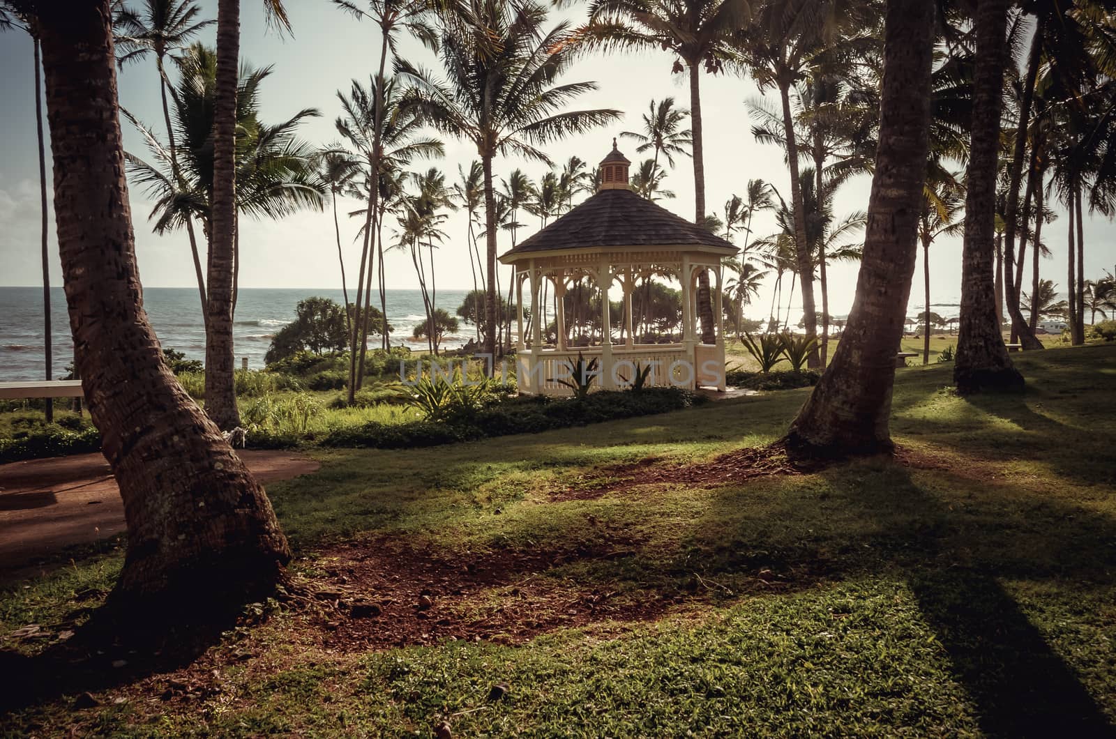 Wooden pavilion, palm trees, the sea and almost sunset in Kauai, by mikelju
